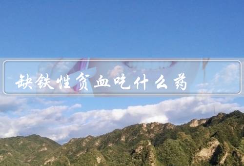 缺铁性贫血吃什么药