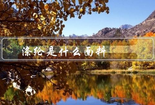 涤纶是什么面料