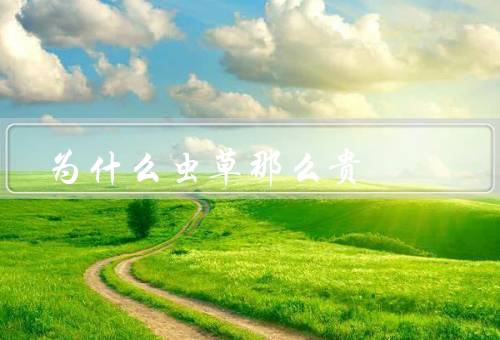 为什么虫草那么贵