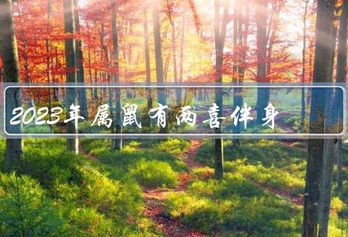 2023年属鼠有两喜伴身