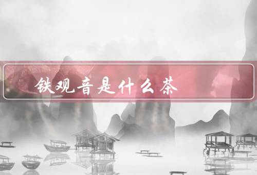 铁观音是什么茶？乌龙茶类代表（十大名茶之一）