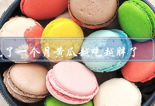 吃了一个月黄瓜越吃越胖了