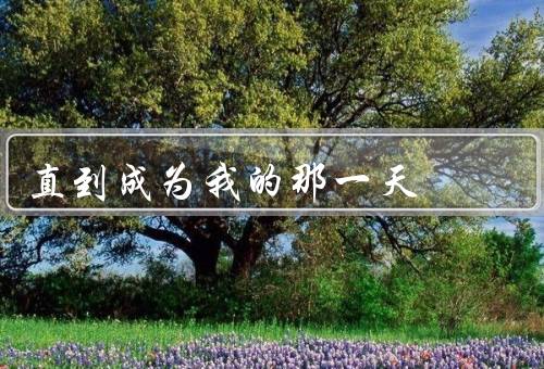 直到成为我的那一天