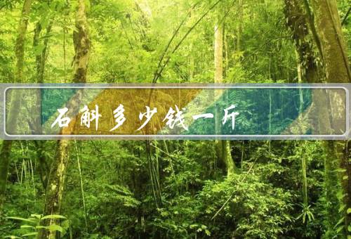 石斛多少钱一斤