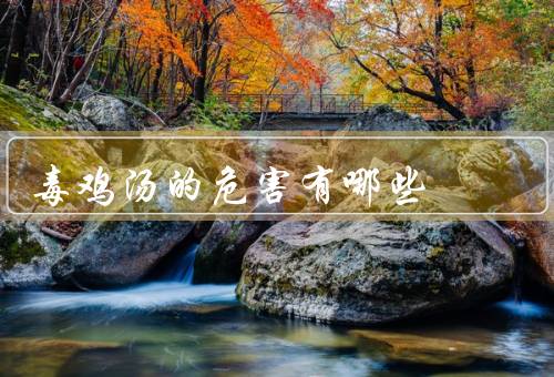 毒鸡汤的危害有哪些