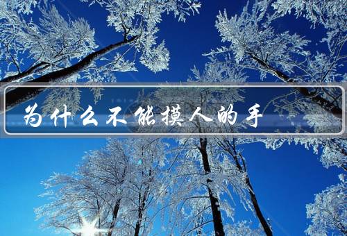为什么不能摸人的手