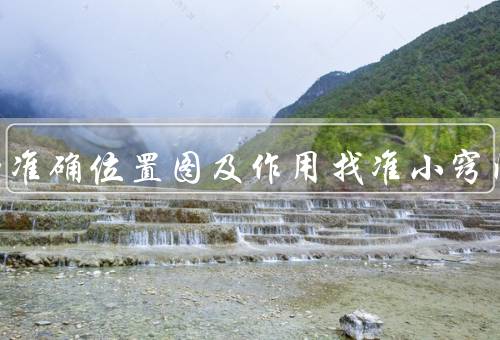 中脘的准确位置图及作用找准小窍门