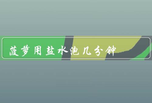 菠萝用盐水泡几分钟
