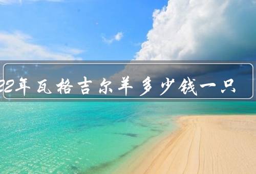 2022年瓦格吉尔羊多少钱一只，单只售价30000元左右（最贵高达千万）