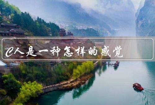 C人是一种怎样的感觉