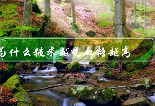 为什么糙米越吃血糖越高