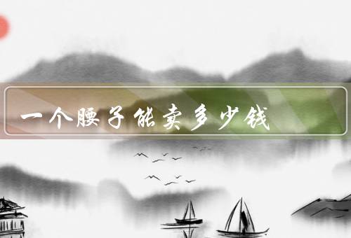 一个腰子能卖多少钱