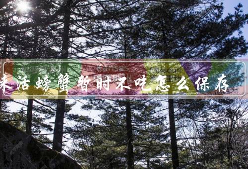 买来活螃蟹暂时不吃怎么保存