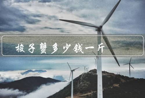 梭子蟹多少钱一斤