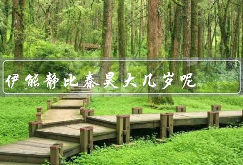 伊能静比秦昊大几岁呢