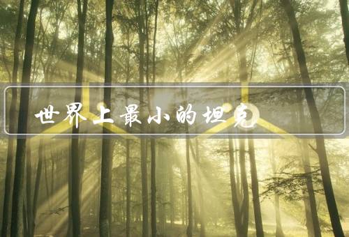 世界上最小的坦克