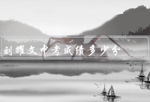刘耀文中考成绩多少分