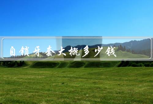 自锁牙套大概多少钱