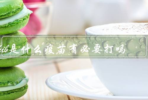 hib是什么疫苗有必要打吗,要打(预防脑膜炎／肺炎)