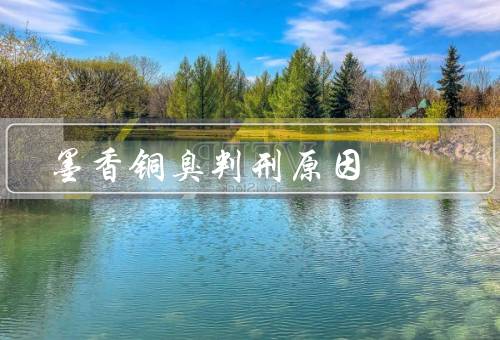 墨香铜臭判刑原因