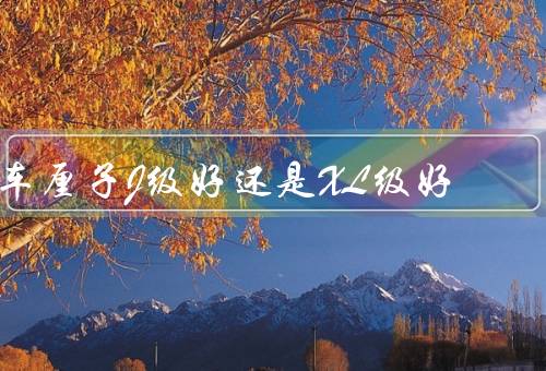 车厘子J级好还是XL级好，J级更大品质更好（XL级是廉价果）