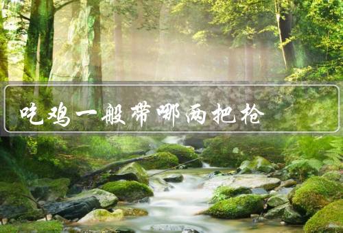 吃鸡一般带哪两把枪