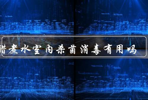 白醋煮水室内杀菌消毒有用吗