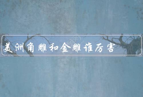 美洲角雕和金雕谁厉害