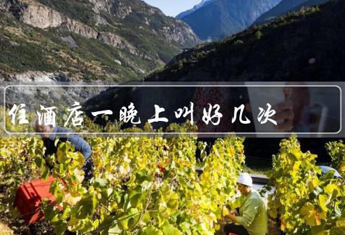 住酒店一晚上叫好几次