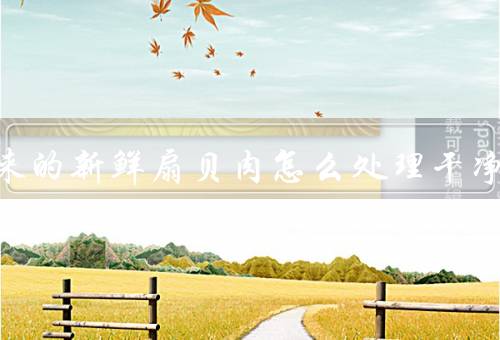 买回来的新鲜扇贝肉怎么处理干净