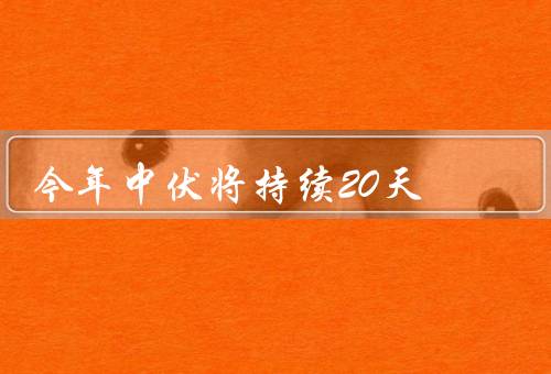 今年中伏将持续20天