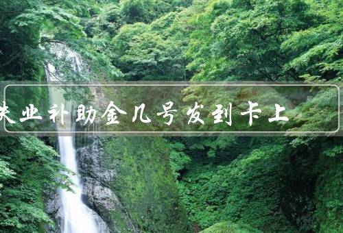 失业补助金几号发到卡上