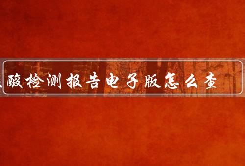 核酸检测报告电子版怎么查