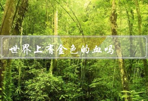 世界上有金色的血吗