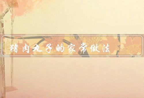 猪肉丸子的家常做法