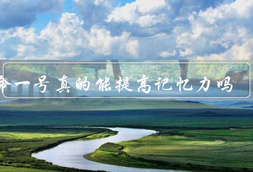 生命一号真的能提高记忆力吗