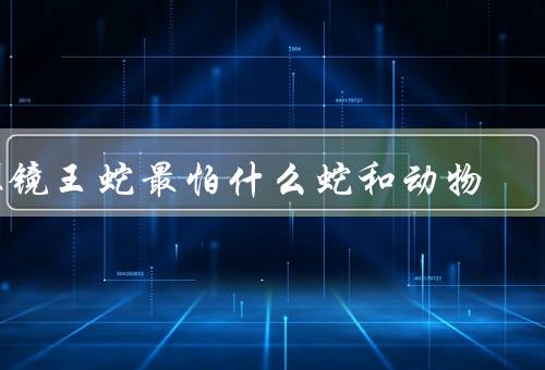 眼镜王蛇最怕什么蛇和动物