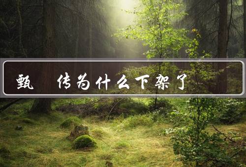 甄嬛传为什么下架了