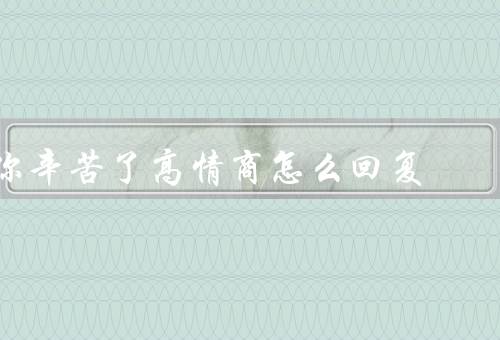 你辛苦了高情商怎么回复