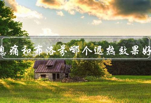 扑热息痛和布洛芬哪个退热效果好