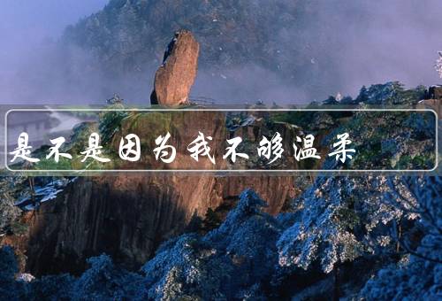 是不是因为我不够温柔