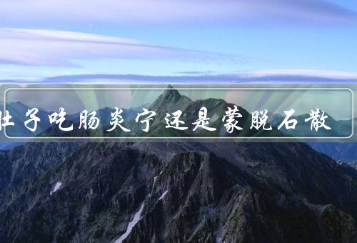 拉肚子吃肠炎宁还是蒙脱石散