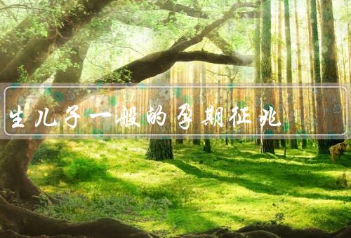 生儿子一般的孕期征兆