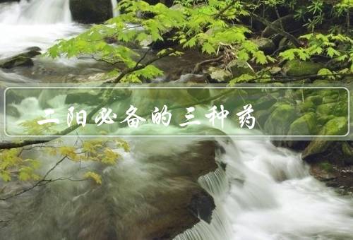 二阳必备的三种药