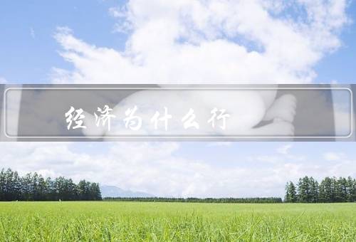 经济为什么行