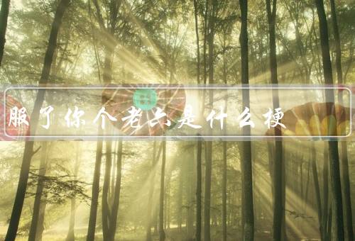 服了你个老六是什么梗