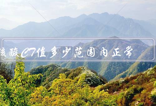 核酸CT值多少范围内正常