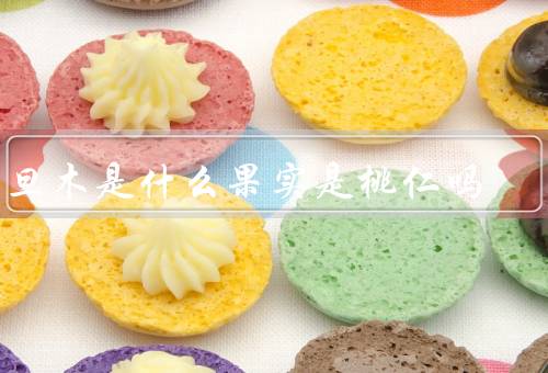 巴旦木是什么果实是桃仁吗