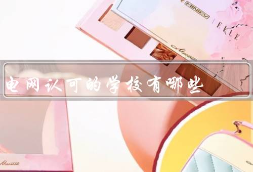 电网认可的学校有哪些