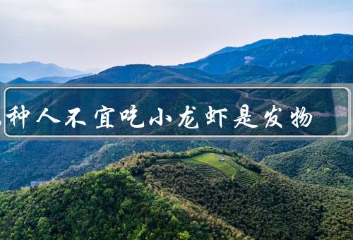 六种人不宜吃小龙虾是发物